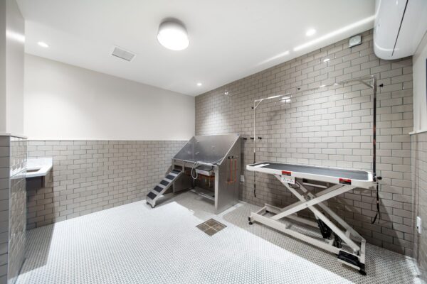 57 Main Pet Spa